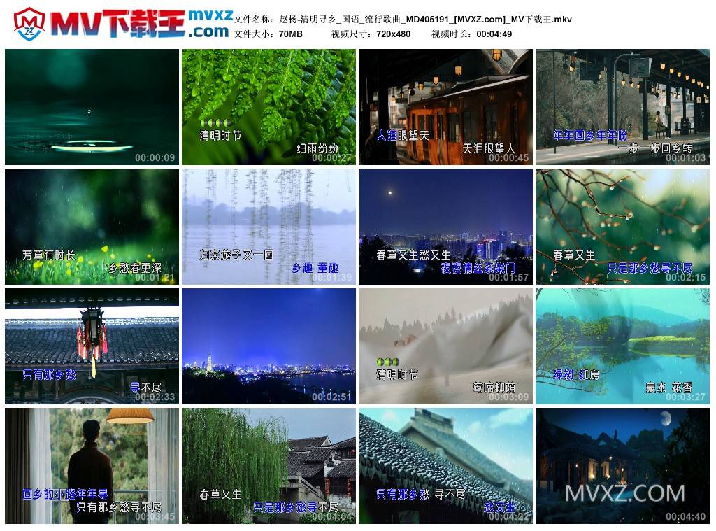 赵杨-清明寻乡_国语_流行歌曲_MD405191